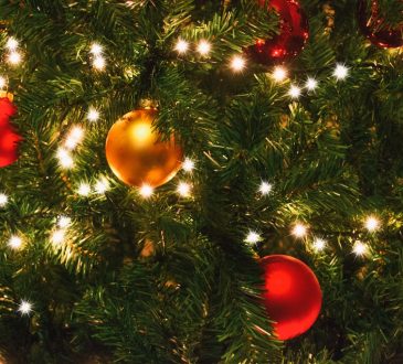 _3 x de handigste kerstverlichting
