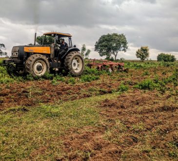 Starten in de agrarische sector-