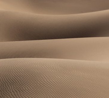 5 Creatieve manieren om zand in te zetten in je tuin